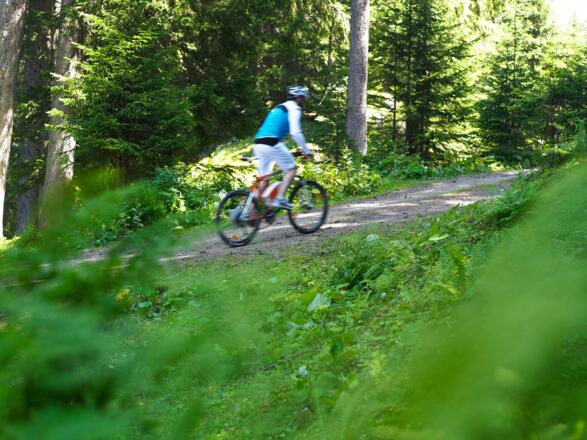 Unterwegs in Bartholomäberg