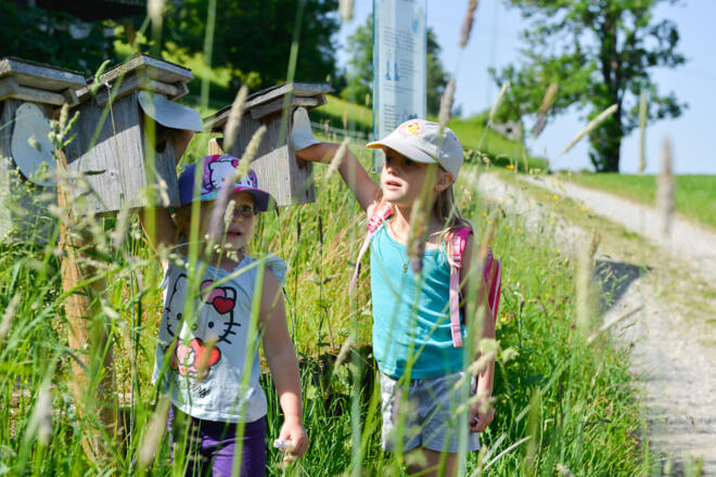 Eulenweg Riefensberg