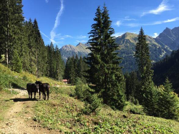 Bei der Inneren Turaalpe