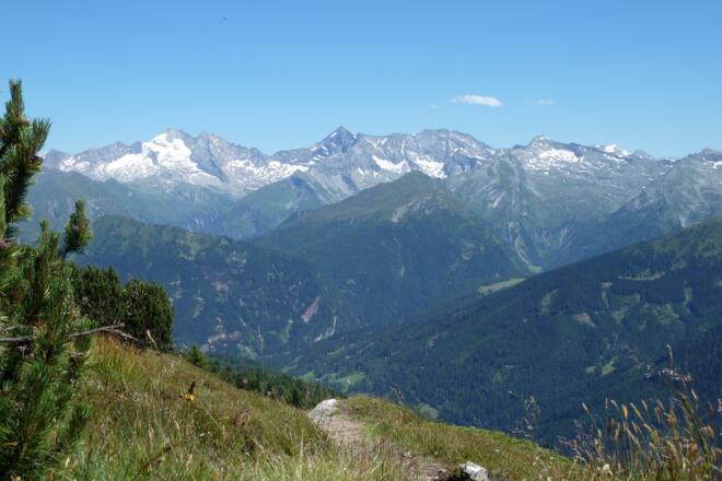 Abstiegsvariante - auf dem Weg ins Tal mit Blick auf den Olperer und die Tuxer Alpen