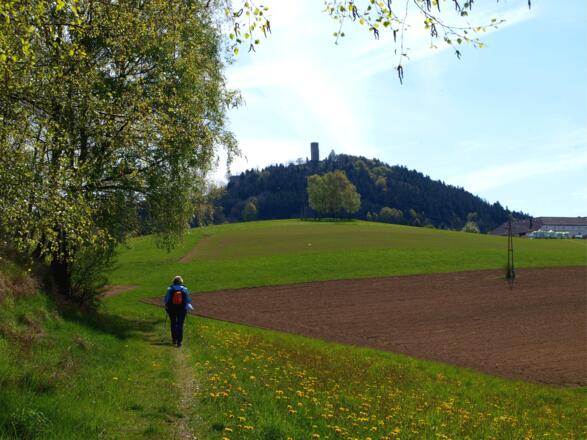 Ruine Waxenberg im Blick