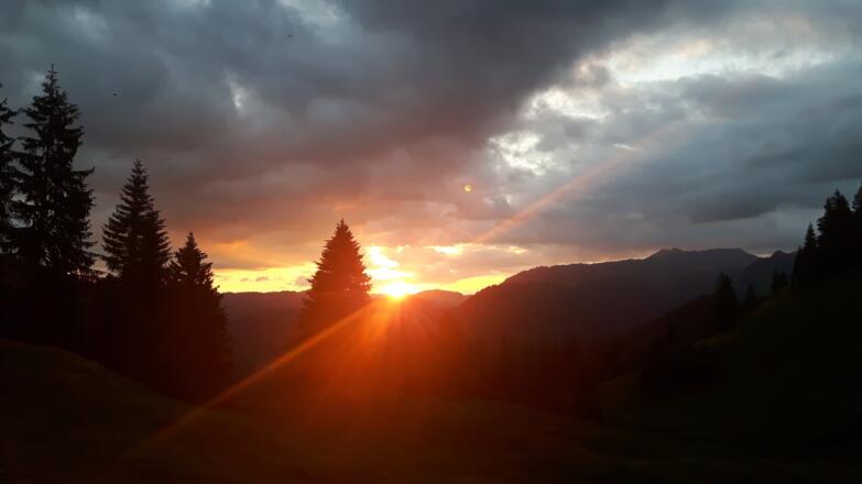 Alpe Rüschers Gunten