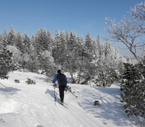 Schöne Loipe am Bödele