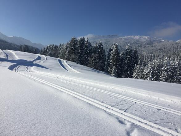 Küren-Wäldele-Egg-Loipe