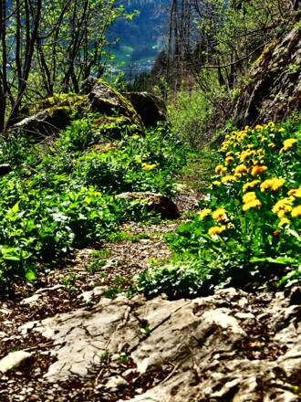 Pfad Richtung Höhlenpark