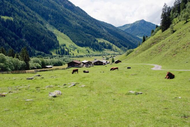 Almgebiet am Ausgangspunkt im hinteren Valsertal 