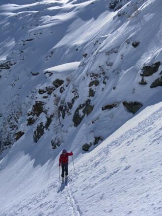 wildes Terrain