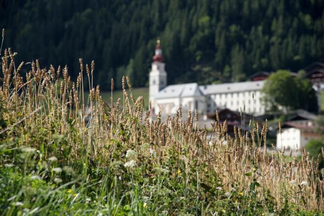 blumenwiese_wallfahrtskirche-maria-schnee_maria-luggau_lesachtal