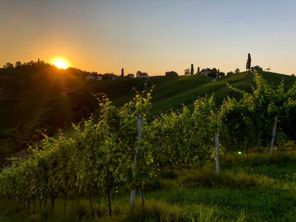 Abendstimmung im Naturpark Südsteiermark