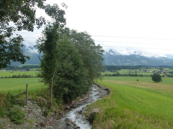 Bach bei Gerling