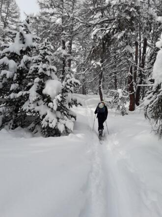 Hochwald
