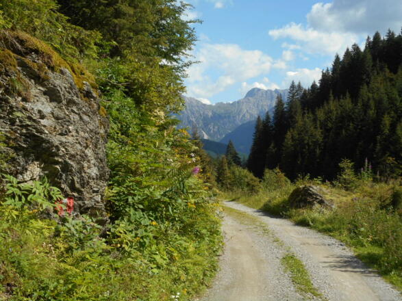 In cammino verso Frohn