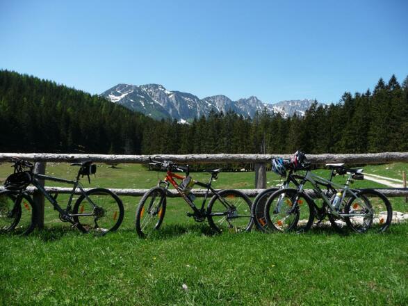Blick von der Schaumbergalm zum Sengsengebirge