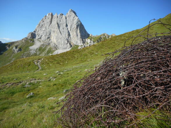 Sui sentieri della Memoria