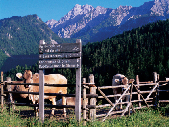 Rundwanderweg "Auf der Alm"