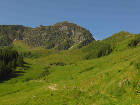 Am Weg zum Gebra in Fieberbrunn