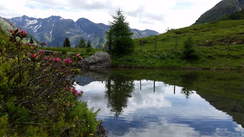Wirpitschsee