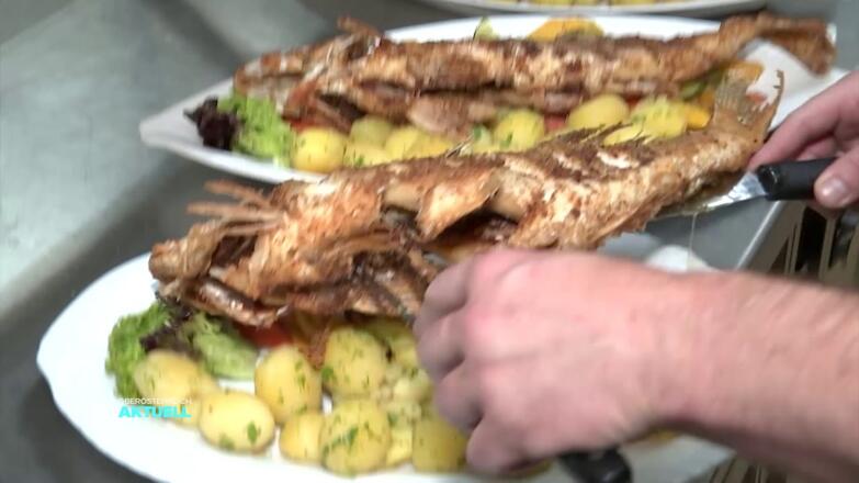 Donausteig Wandertipp: Donausteig Etappe Schlögen - Feldkirchen