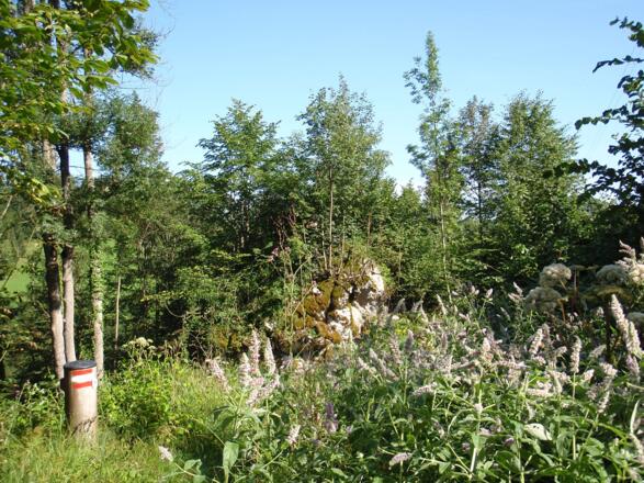 Am Abstiegsweg, Nähe Prennhöhe um 690 m