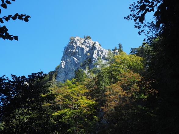 Von 725 m Gratzacken vom Dürren Eck, Rückblick