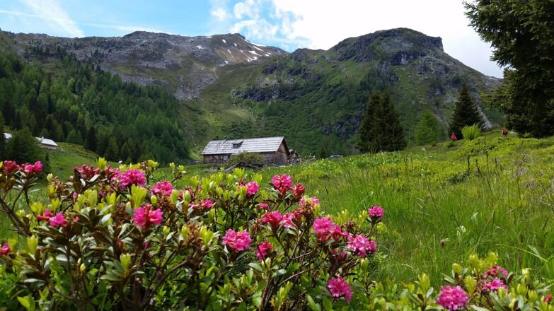 Tonimörtelhütte