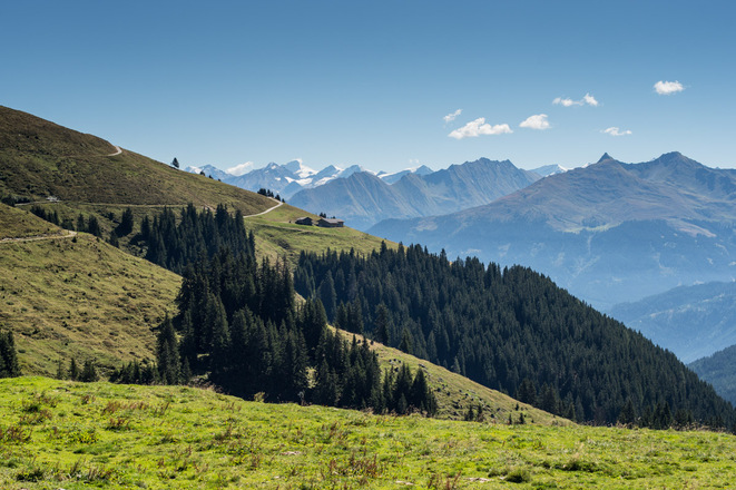 Panorama