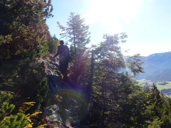 Mit zunehmender Höhe wird der Steig in einzelnen Abschnitten etwas alpiner.