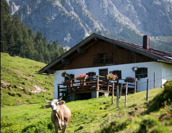 Schießlingalm St. Ulrich am Pillersee