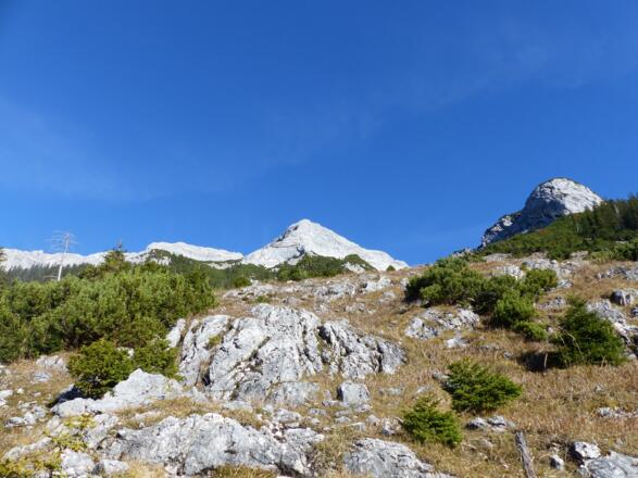 Die Freifläche bietet immer wieder ein schönen Blick zum Felsgipfel des Guffert.
