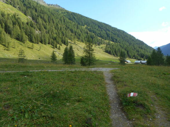 Verso la malga Ingrid Hütten