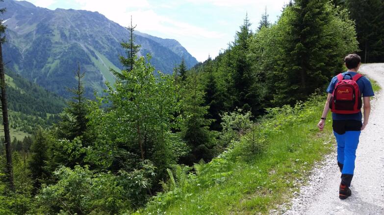 Forstweg steigt an