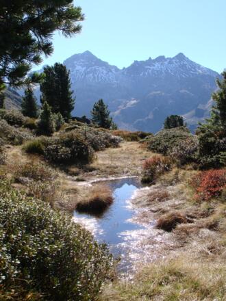 Richtung Weidener Hütte