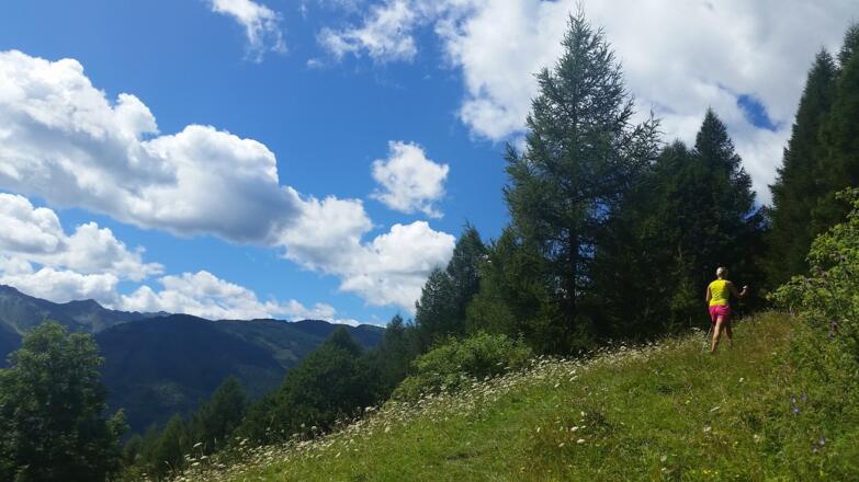 Aufstieg über Steige