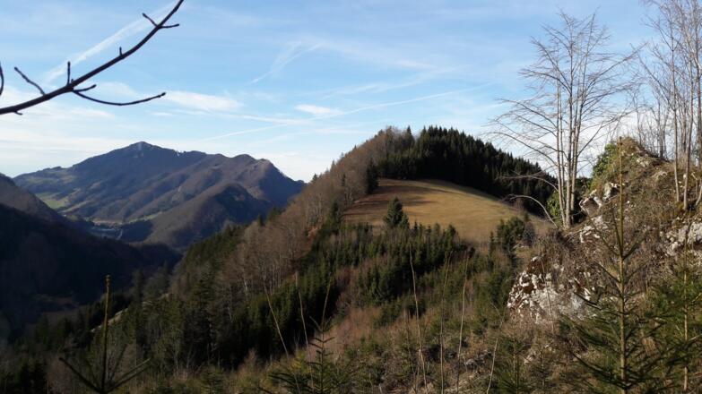 Gipfel ~708m ü. Mitterlangerbauer