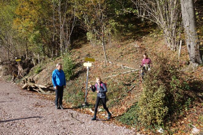 Wanderweg Südabstieg (700m) erreicht
