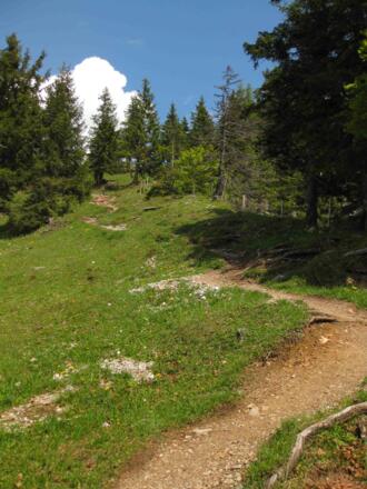Am Weg zur Buchensteinwand von Fieberbrunn aus