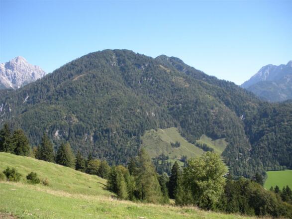 Weg zum Kirchl Hochfilzen