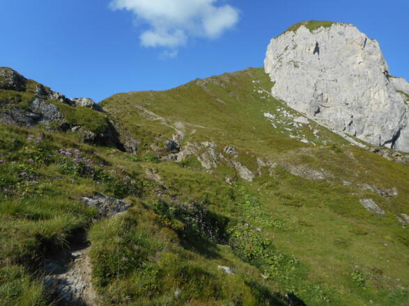 Scendendo verso il rifugio Hochweißsteinhaus