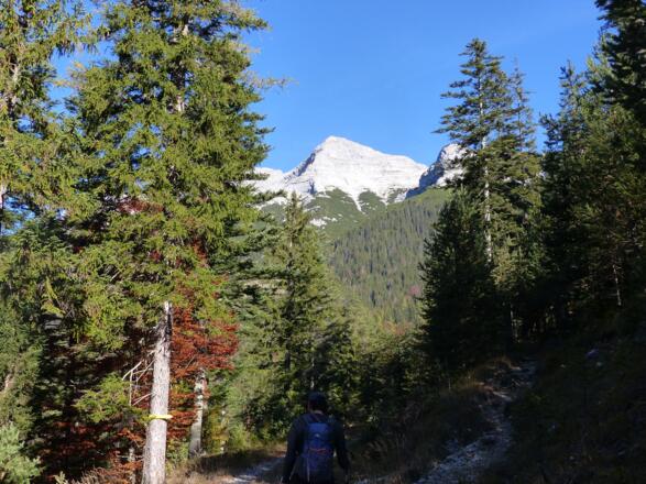 Nach gut 20 Minuten Gehzeit folgen wir dem Steig im Antlitz der Guffertpyramide bergan.