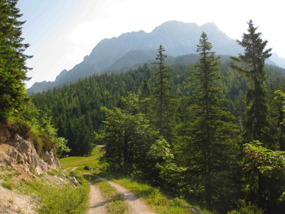 Am Weg zum Grießener Hochbrett