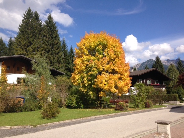 Herbststimmung