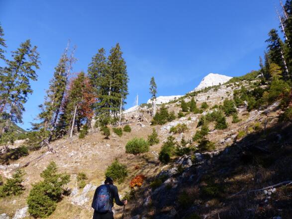 Auf ca. 1400 m treten wir aus dem Wald heraus und erreichen ein große Freifläche.