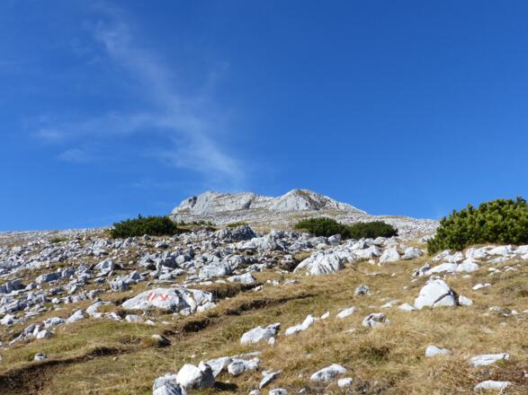 Markant tritt mit dem weiteren Anstieg der Gipfelgrat aus der Karstlandschaft empor.
