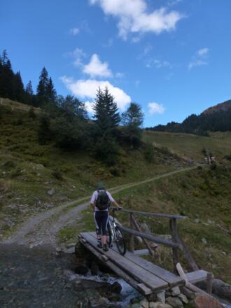 Bachquerung oberhalb der Saalalm.