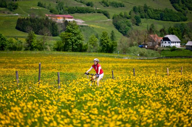 Unterwegs im steirischen Frühling
