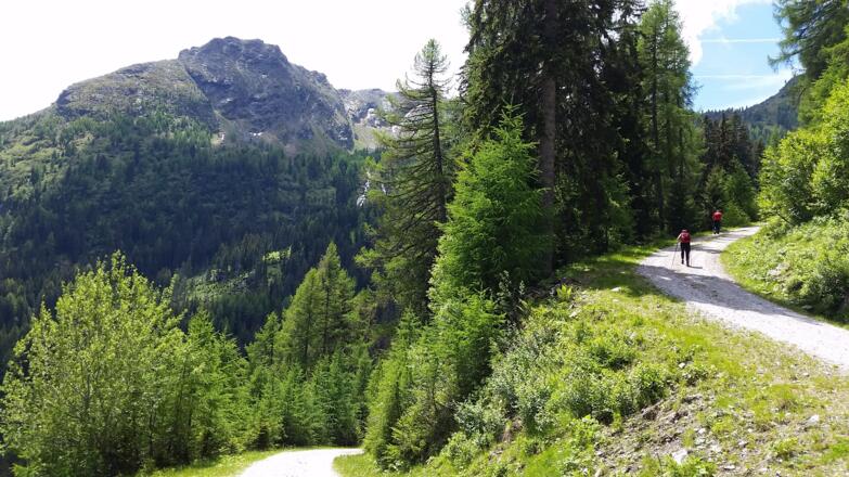 Wegkehren Richtung Tonimörtelhütte