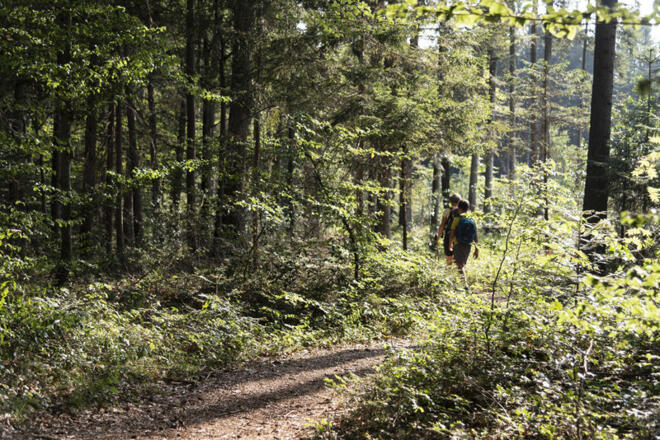 Hoher Sattel  (c) Martin Vogel / Vorarlberg Tourismus