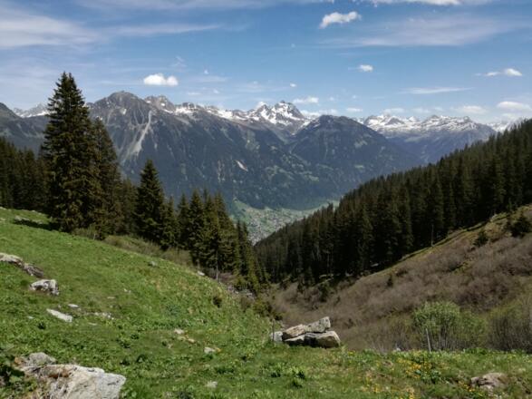 Aussicht Innergweilalpe
