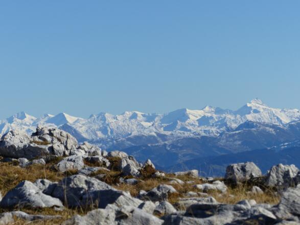 Welch ein Blick - die Hohen Tauern mit Großglockner ganz nah.