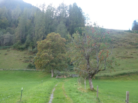 Bei Atzing